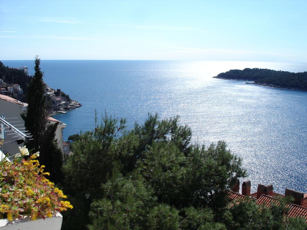 Belvedere Studio Dubrovnik Værelse billede
